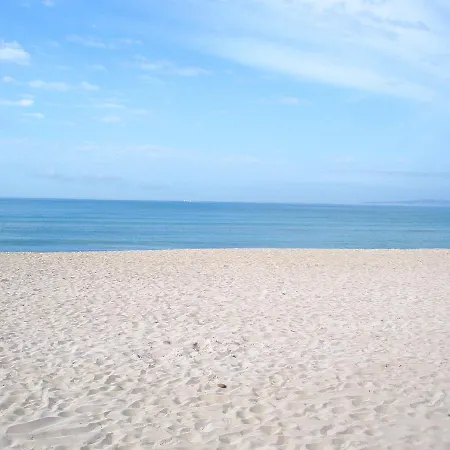 Foners (adults Only)