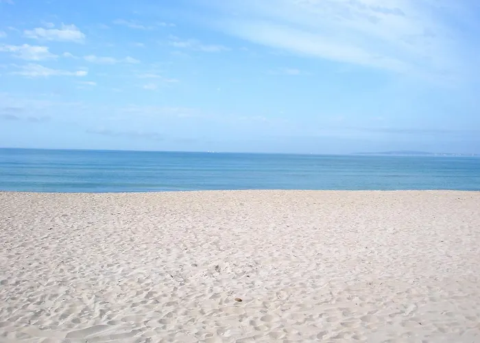 Foners (adults Only)