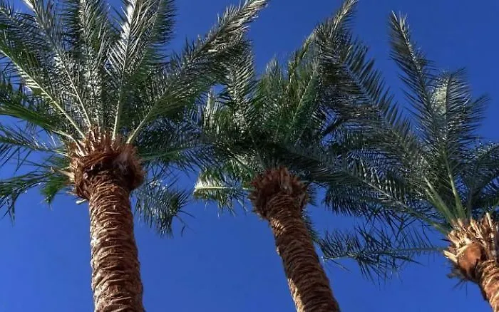 Отель Foners (adults Only) 3*