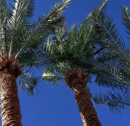 Hotel Foners (adults Only) 3*